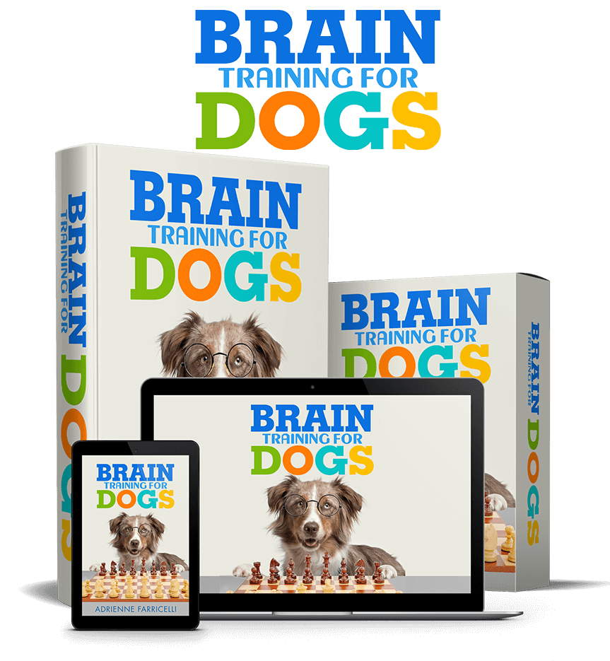 Brain Training for Dogs course